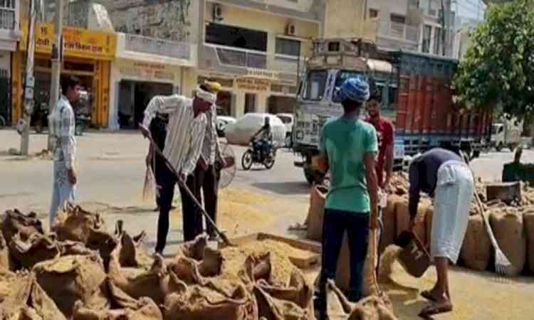 ‘Feel respected’: Farmers after Centre approves increase in MSP for Rabi crops