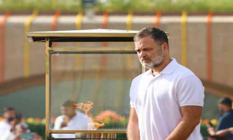 MP: Congress raises security concerns over Rahul Gandhi's Balaghat visit, writes to HM Amit Shah