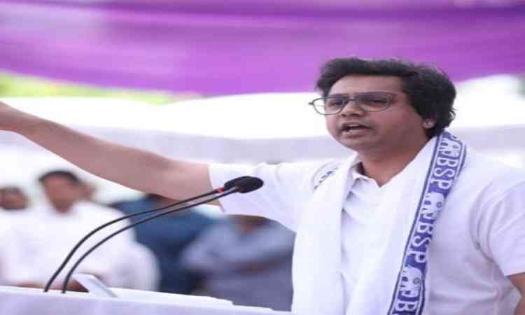 BSP my family, Mayawati my political mentor, says sacked coordinator Akash Anand