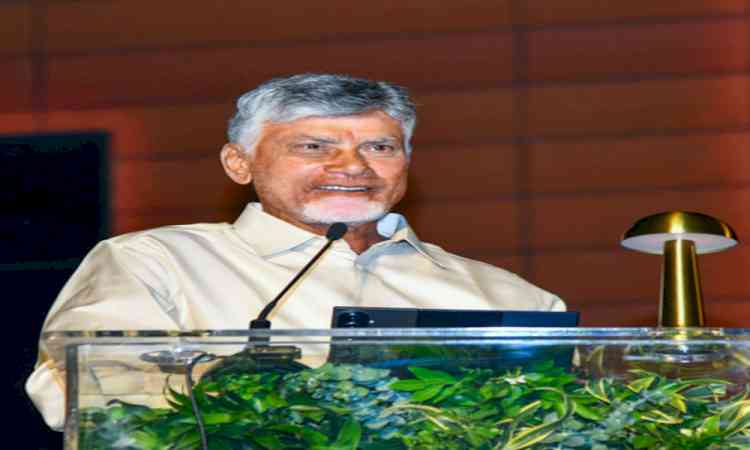 Horticulture hub to transform Rayalaseema: CM Naidu