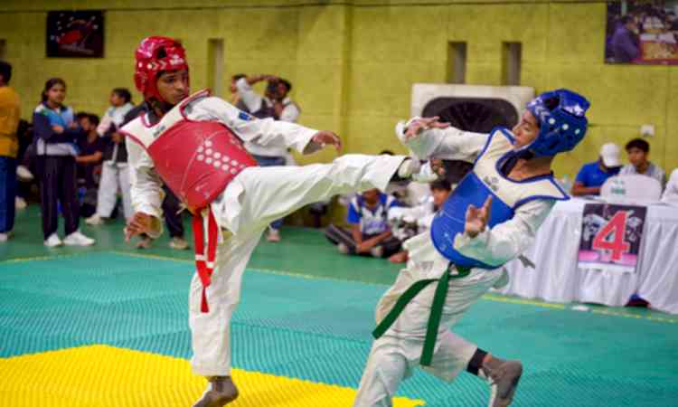 Asian Games: India draw a blank in taekwondo to end campaign
