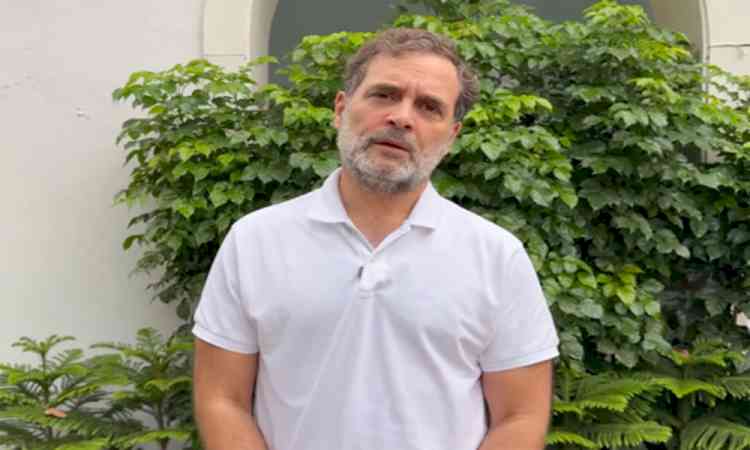 Rahul Gandhi urges MP CM to expand teacher recruitment