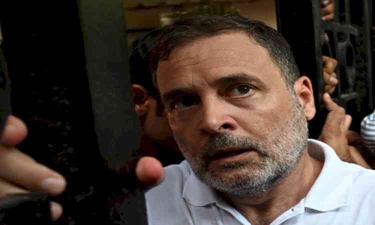 Oppn protest: Hours after detention, Delhi Police release Rahul, Priyanka and other INDIA bloc leaders