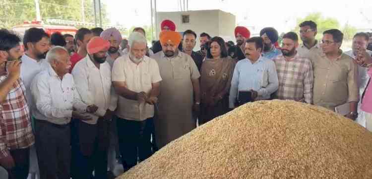 Kataruchak inspects grain markets, says farmers’ procurement arrangements in place