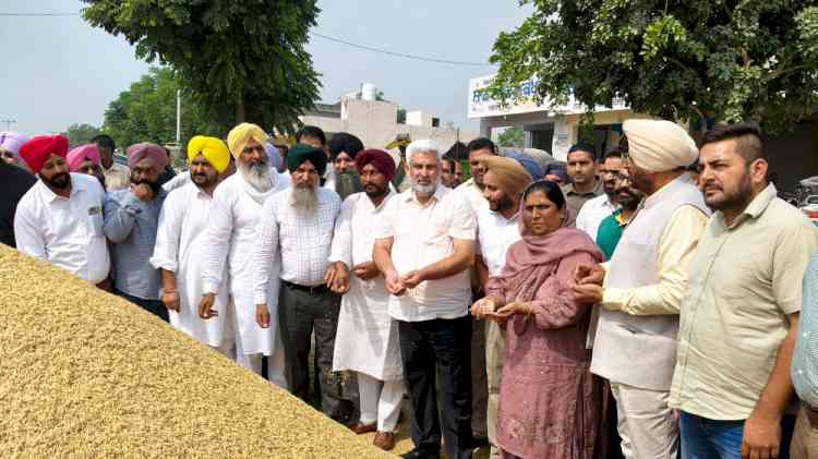 8.50 Lakh Metric Tonnes of paddy arrived in Punjab grain markets so far: Cabinet Minister Lal Chand Kataruchak