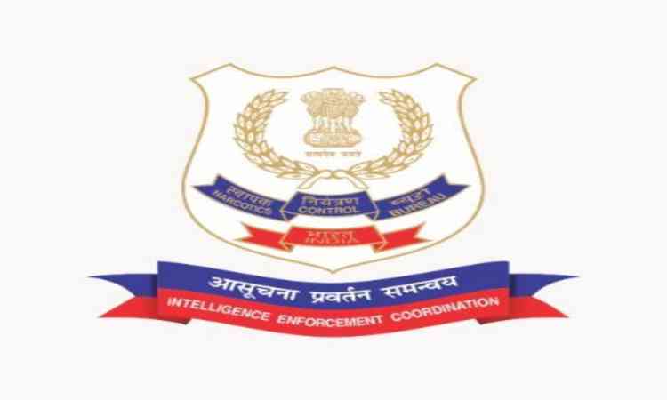 Himachal Malana villagers encouraged to shun illicit cannabis cultivation