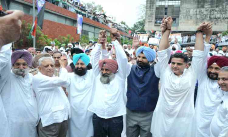 Real strength lies in farmers, youth: Punjab Congress chief on assuming charge