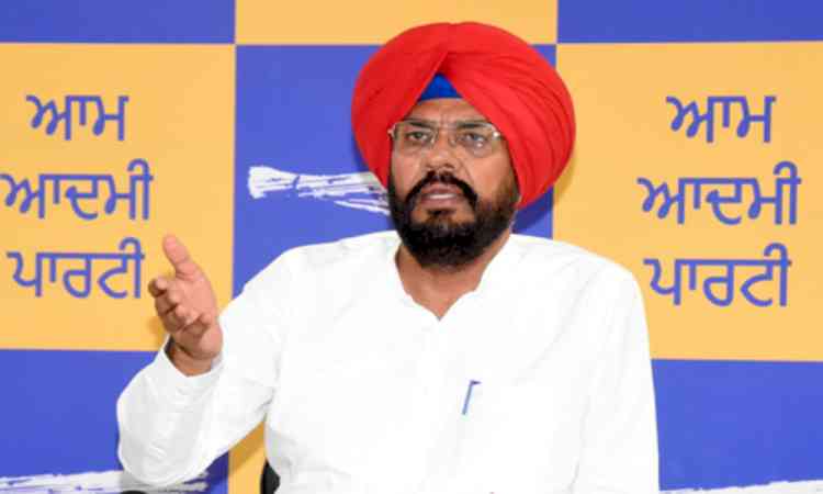 Punjab AAP condemns Delhi Police action against protesters