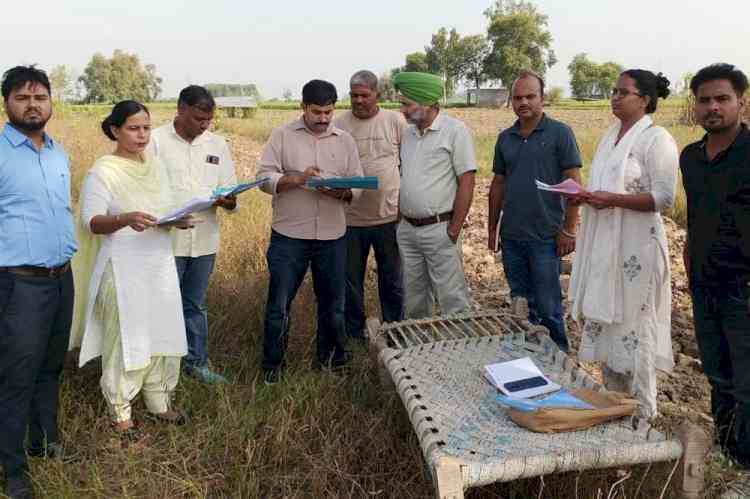फसल कटाई के आंकड़ों से तय होगा बीमा मुआवजा, 10 गांवों में जांच
