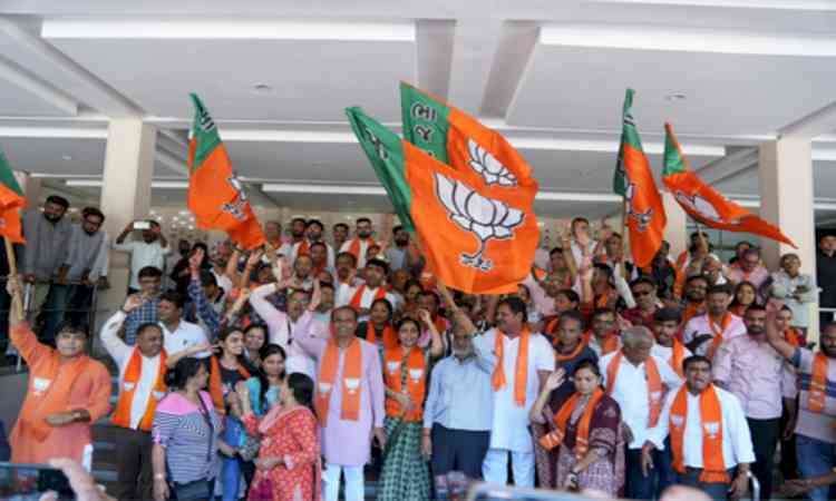 Gandhinagar civic polls: BJP, Congress expand vote share; AAP loses ground 