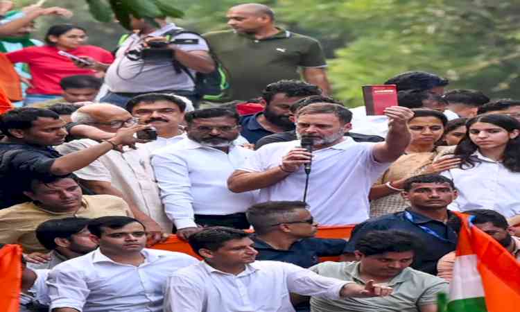 Multiple trade associations flag impact of SIR protest on festive sales, ask Rahul Gandhi to withdraw stir