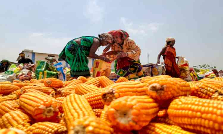 India’s ethanol supplies reach 987 crore litres by Sep end: Report