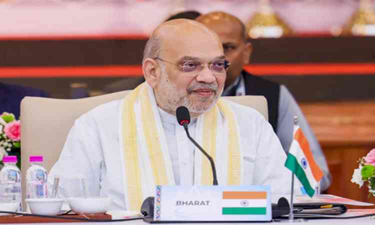 HM Amit Shah hails Assam CM for anti-drug crackdown