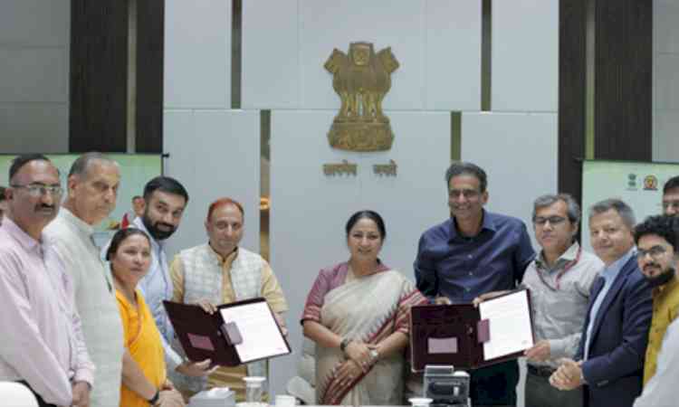 Delhi govt, MCD to open 250 centres for collection of broken idols, puja materials