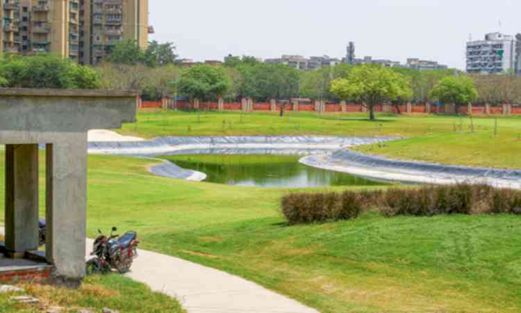 Delhi: DDA to conduct draw of lots for Dwarka Golf Course lifetime membership tomorrow