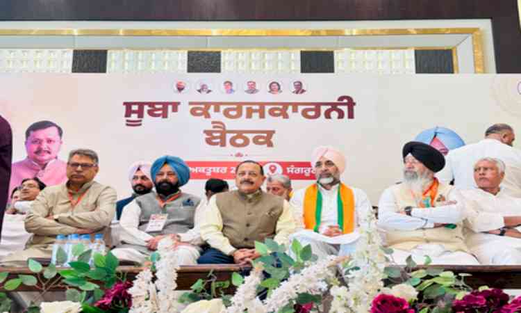 Punjab BJP emphasises need for double-engine government 