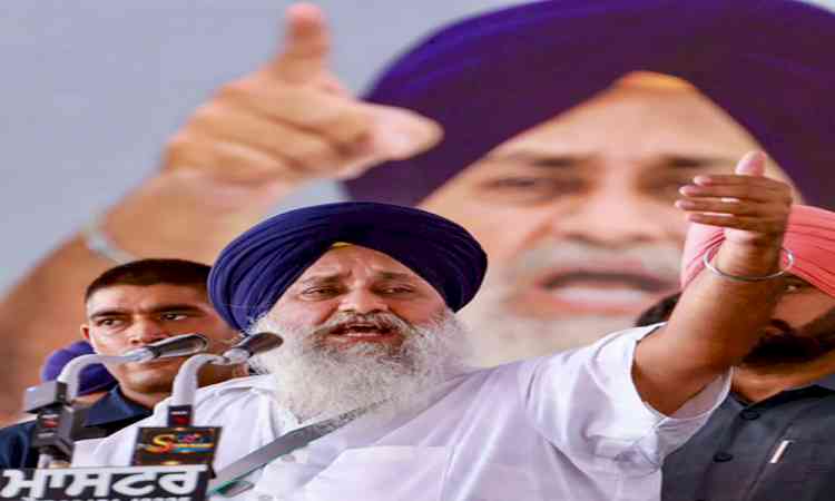 Punjab: Akali Dal to announce election manifesto on Nov 1 