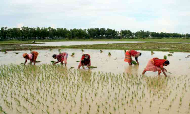 Climate change, its impact on cultivation key focus of symposium in Shimla