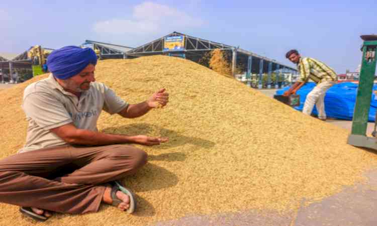 Punjab farmers procure 21,019 crop residue management machines 