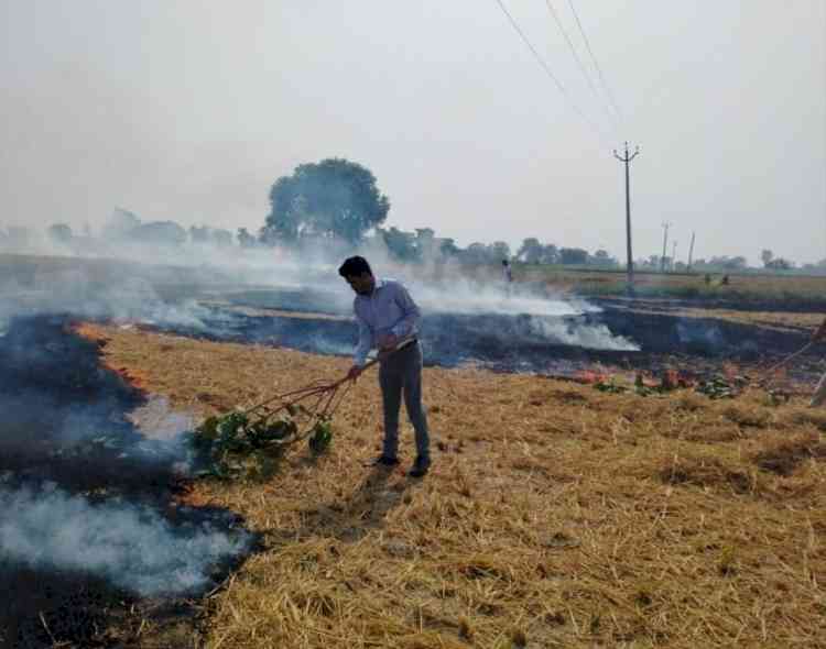 10 Farmers booked for stubble burning in Ferozepur; 23 incidents reported till October 21