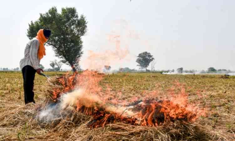 Aim is to turn stubble into economic asset for farmers, says CAQM Member Secretary