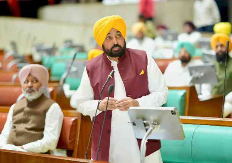 Our Govt Laid Pipelines Equivalent To Distance From Delhi To Canada, Delivering Water To 80% Of Agricultural Fields: CM Bhagwant Singh Mann