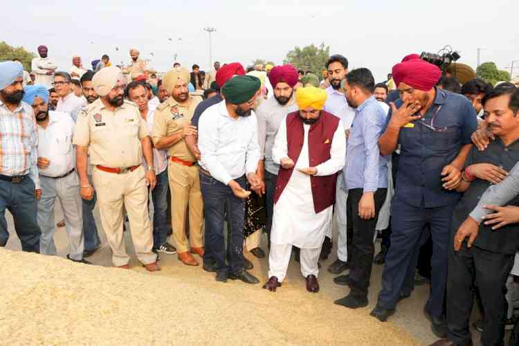 Farmers Being Paid For Their Crops Within 24 Hours: CM Bhagwant Singh Mann