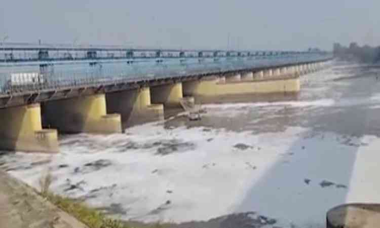 Toxic foam spotted on Yamuna near Kalindi Kunj