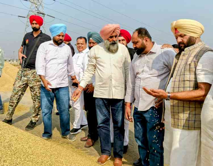 Pargat Singh Alleges ₹4,000-Crore Paddy Procurement Scam, Slams AAP Government