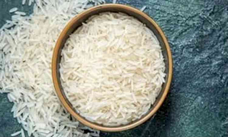 India holds 40 pc of global rice exports, key to world food security: Experts