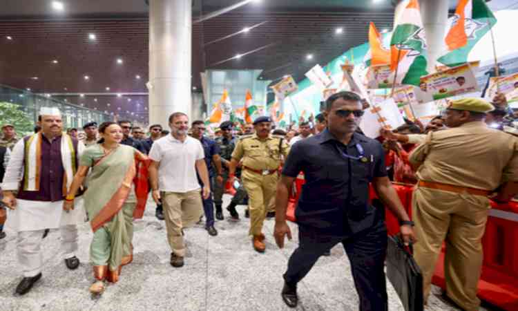 HM Amit Shah defamation case: Complainant to challenge Rahul Gandhi's acquittal