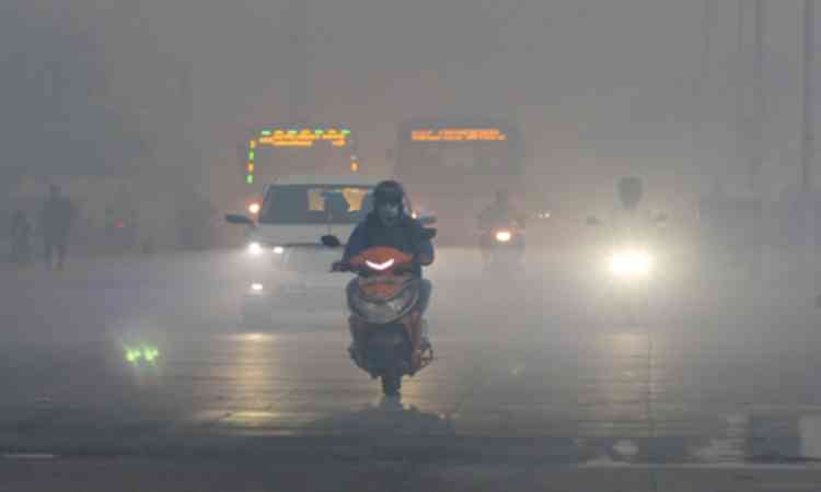 14 killed in lightning strikes in Tamil Nadu since onset of monsoon; tourists barred from hill station