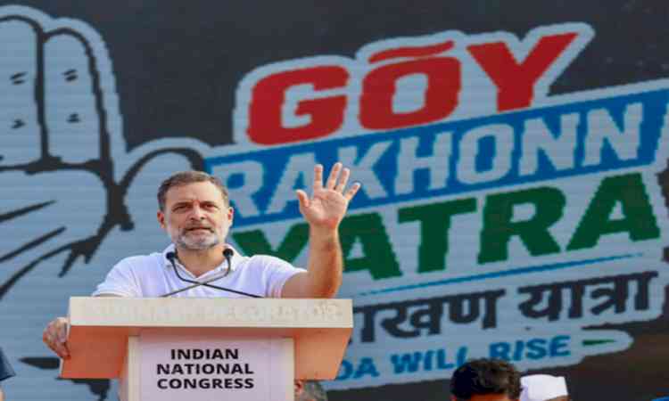 CTI’s fresh appeal to INDIA bloc for deferring Nov 1 rally, after Rahul reiterates call for participation
