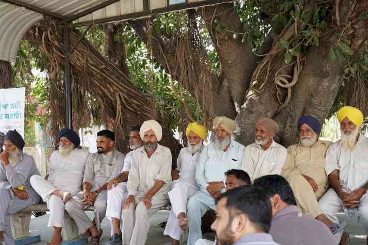 Trident Group targets 2,000 acres under ‘Parali Samadhan Programme 2026’ initiative in Punjab