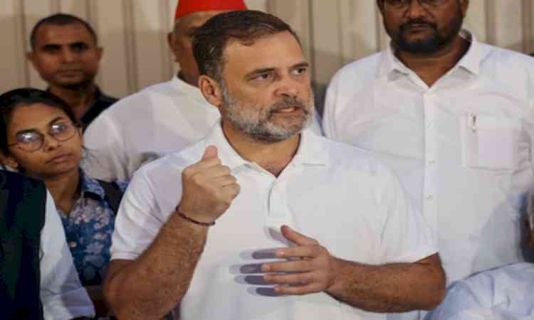 'Insult to constitutional institutions': BJP leaders criticise Rahul, Oppn over Nov 1 rally against SIR