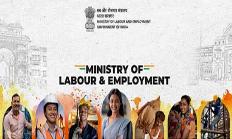 Govt notifies social security boards for gig and unorganised workers