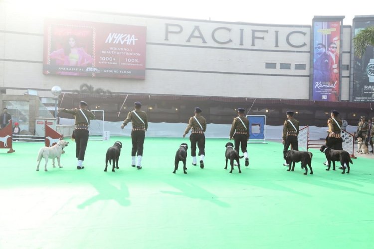 West Delhi’s first ever dog show at Pacific Mall