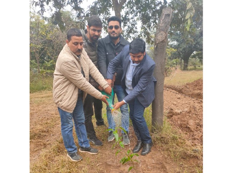 Sarthak Foundation conducts sapling plantation drive