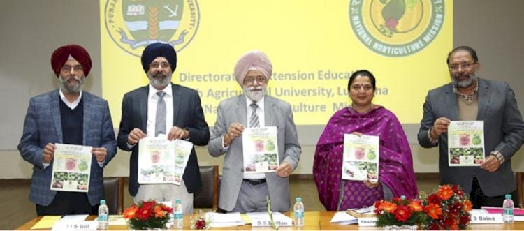 Horticulture comes to forefront for crop diversification: PAU VC