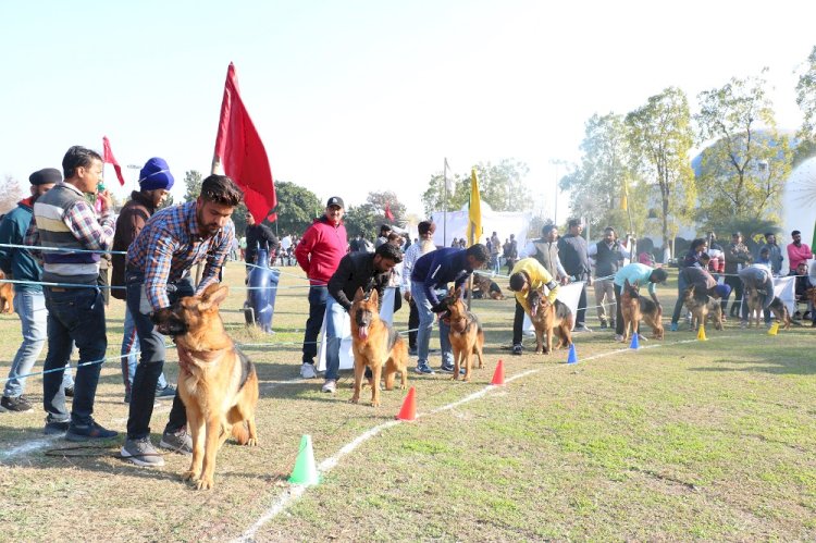 All bread open dog show organized at Science City