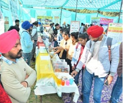 Field day on cultivation and management of horticultural crops held