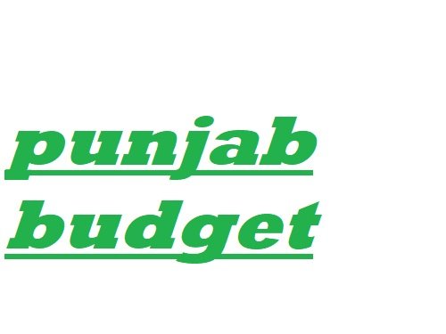 Rs 1.54 lakh crore Punjab Budget get mixed reactions from various sections  
