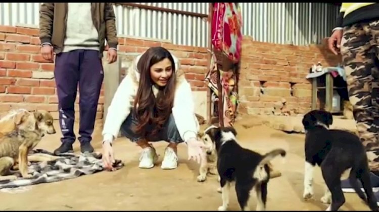 Daisy Shah rescues puppy in distress