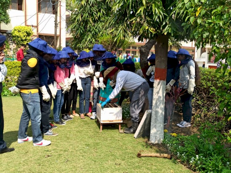 Seminar cum hands-on-training program on theme of ‘Apiculture and Nutritional Gardening’